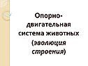 Опорно-двигательная система животных (эволюция строения)