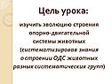 Цель урока