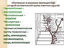 «Ступеньки» в изучении эволюции ОДС