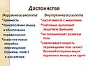 Достоинства