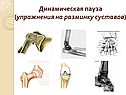 Динамическая пауза (упражнения на разминку суставов)