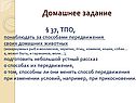 Домашнее задание
