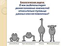 Разное положение конечностей