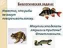Биологическая задача