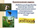 Любой лишний груз был бы помехой при полете