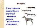 Вопрос
