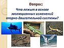 Что лежит в основе эволюционных изменений опорно-двигательной системы