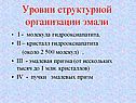 Уровни структурной организации эмали