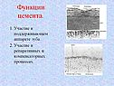 Функции цемента