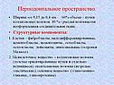 Периодонтальное пространство