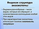 Видовая структура экосистемы