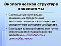 Экологическая структура экосистемы