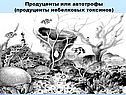 Продуценты или автотрофы (продуценты небелковых токсинов)