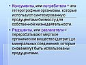 Консументы, или потребители – это гетеротрофные организмы, которые