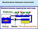 Биологически замкнутая экосистема
