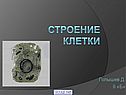 Строение клетки