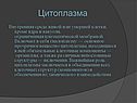 Цитоплазма