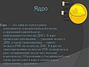 Ядро