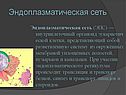 Эндоплазматическая сеть