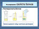 Исследование свойств белков