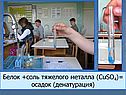 Белок +соль тяжелого металла (CuSO4)= осадок (денатурация)