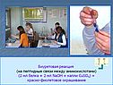 Биуретовая реакция (на пептидные связи между аминокислотами) (2 мл