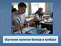 Изучения наличия белков в колбасе