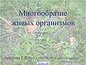 Царства живых организмов