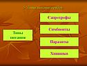 Сапротрофы