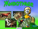Царство животные