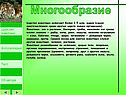 Многообразие