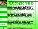 Сходство