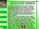 Красная книга