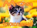 Моя