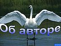 Об авторе