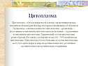 Цитоплазма