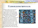 Галиоплазма/цитозоль