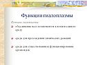 Функции гиалоплазмы