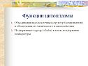 Функции цитоплазмы