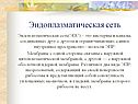 Эндоплазматическая сеть
