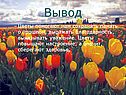 Вывод