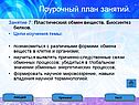 Поурочный план занятий
