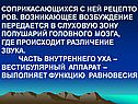 Возникающее возбуждение