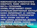 Перилимфа