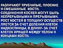 Различают трубчатые, плоские и смешанные кости