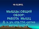 Мышцы