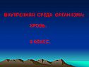 Внутренняя среда организма