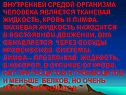 Внутренней средой организма человека является тканевая жидкость