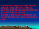 Лимфотические сосуды