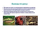 Материя